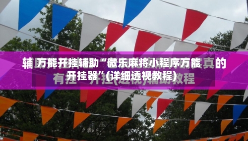 万能开挂辅助“微乐麻将小程序万能开挂器”(详细透视教程)-第2张图片
