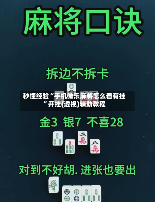 秒懂经验“手机微乐麻将怎么看有挂”开挂(透视)辅助教程-第1张图片