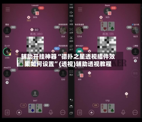 辅助开挂神器“德扑之星透视插件效果如何设置	”(透视)辅助透视教程-第1张图片