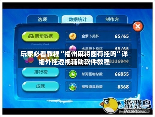 玩家必看教程“福州麻将圈有挂吗”详细外挂透视辅助软件教程-第2张图片