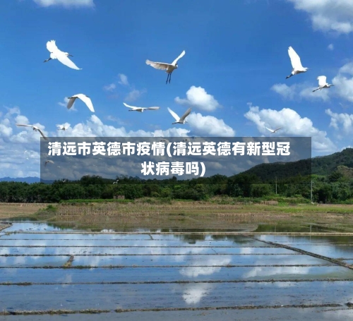 清远市英德市疫情(清远英德有新型冠状病毒吗)-第2张图片