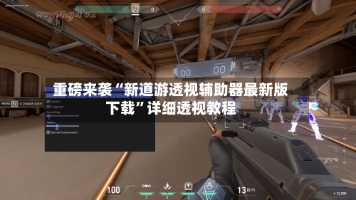 重磅来袭“新道游透视辅助器最新版下载”详细透视教程-第1张图片