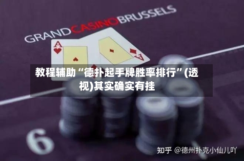 教程辅助“德扑起手牌胜率排行	”(透视)其实确实有挂-第3张图片