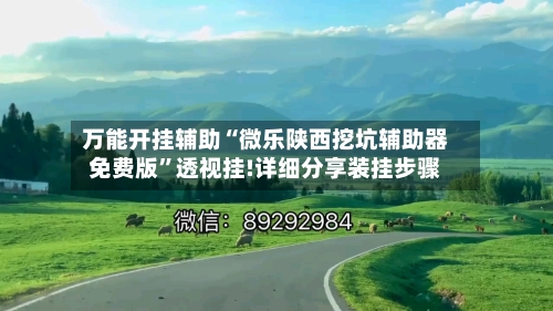 万能开挂辅助“微乐陕西挖坑辅助器免费版	”透视挂!详细分享装挂步骤-第3张图片