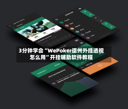3分钟学会“WePoker德州外挂透视怎么用”开挂辅助软件教程-第1张图片