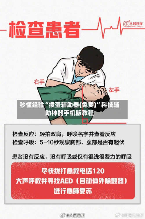秒懂经验“掼蛋辅助器(免费)	”科技辅助神器手机版教程-第2张图片