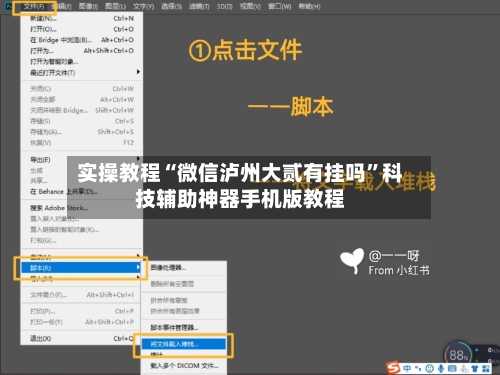 实操教程“微信泸州大贰有挂吗”科技辅助神器手机版教程-第1张图片