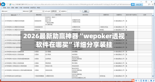 2026最新助赢神器“wepoker透视软件在哪买”详细分享装挂-第1张图片