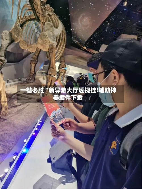 一键必胜“新导游大厅透视挂!辅助神器插件下载-第2张图片