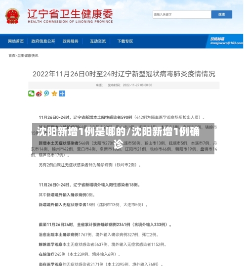 沈阳新增1例是哪的/沈阳新增1例确诊-第1张图片