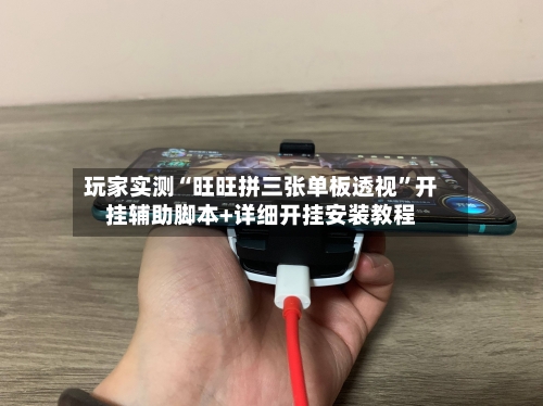 玩家实测“旺旺拼三张单板透视”开挂辅助脚本+详细开挂安装教程-第1张图片