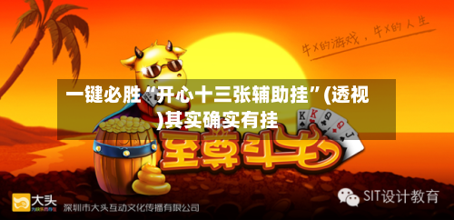 一键必胜“开心十三张辅助挂”(透视)其实确实有挂-第1张图片
