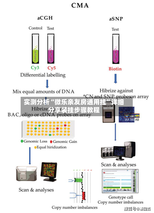 实测分析“微乐亲友房通用挂	”详细分享装挂步骤教程-第2张图片