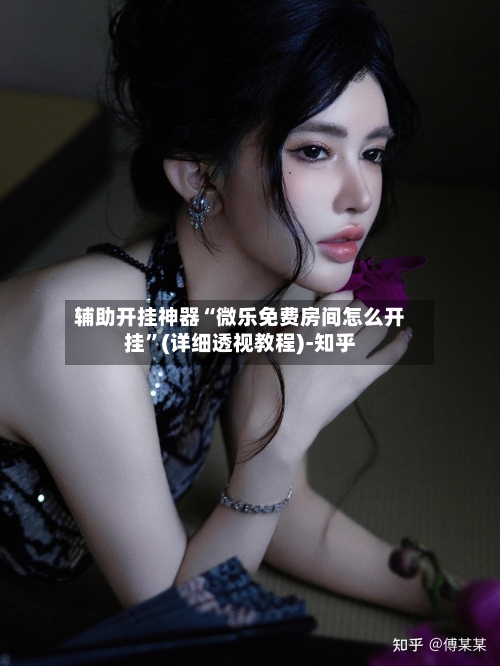 辅助开挂神器“微乐免费房间怎么开挂”(详细透视教程)-知乎-第2张图片