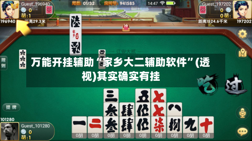 万能开挂辅助“家乡大二辅助软件”(透视)其实确实有挂-第3张图片