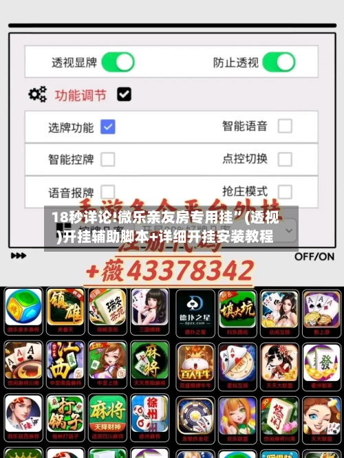 18秒详论!微乐亲友房专用挂”(透视)开挂辅助脚本+详细开挂安装教程-第2张图片