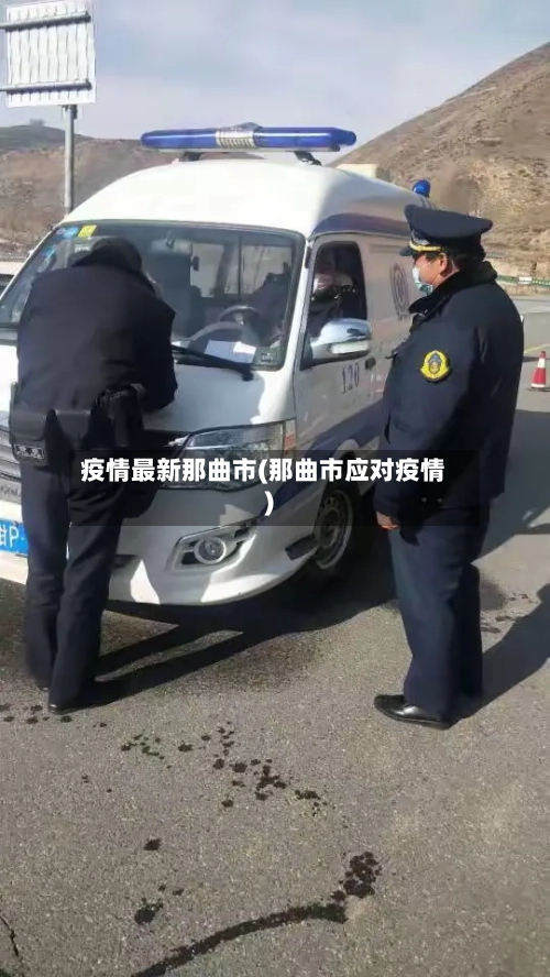 疫情最新那曲市(那曲市应对疫情)-第2张图片