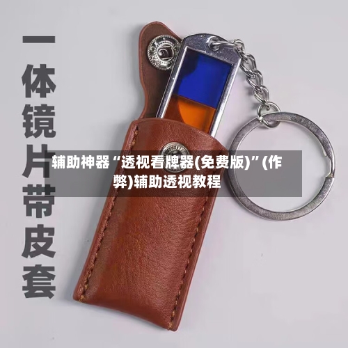 辅助神器“透视看牌器(免费版)	”(作弊)辅助透视教程-第1张图片