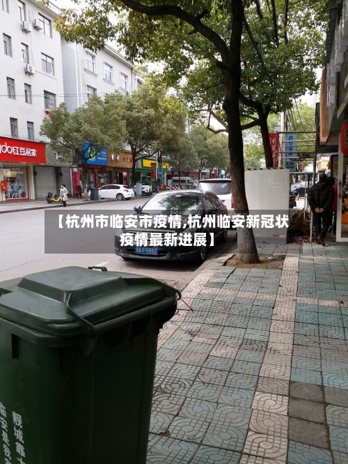 【杭州市临安市疫情,杭州临安新冠状疫情最新进展】-第2张图片