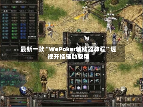 最新一款“WePoker辅助器教程”透视开挂辅助教程-第2张图片