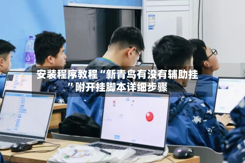 安装程序教程“新青鸟有没有辅助挂”附开挂脚本详细步骤-第1张图片
