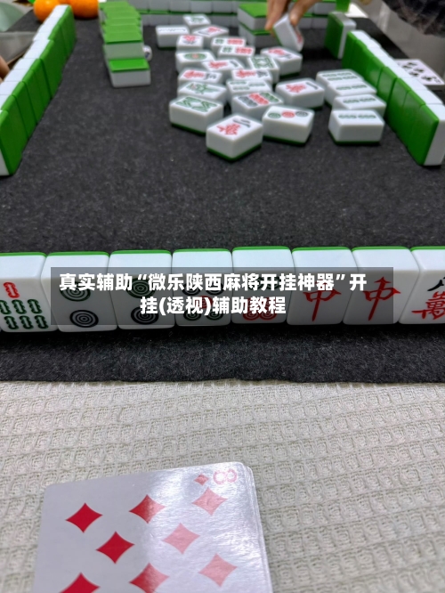 真实辅助“微乐陕西麻将开挂神器	”开挂(透视)辅助教程-第2张图片