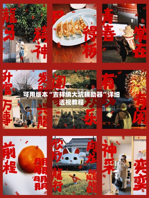 可用版本“吉祥填大坑辅助器	”详细透视教程-第1张图片