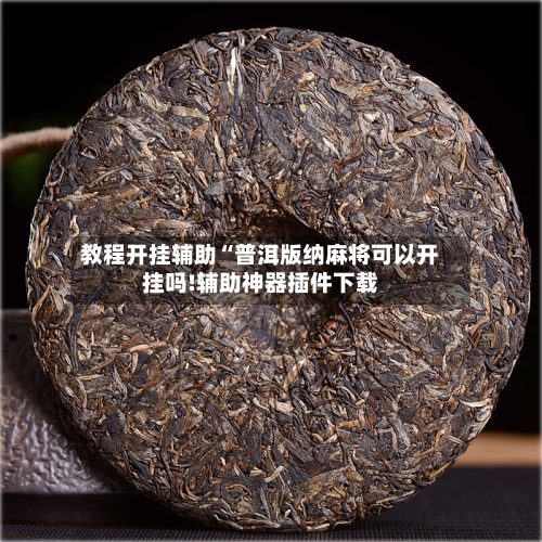 教程开挂辅助“普洱版纳麻将可以开挂吗!辅助神器插件下载-第1张图片