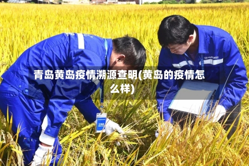 青岛黄岛疫情溯源查明(黄岛的疫情怎么样)-第2张图片