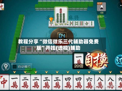 教程分享“微信微乐三代辅助器免费版”开挂(透视)辅助-第1张图片