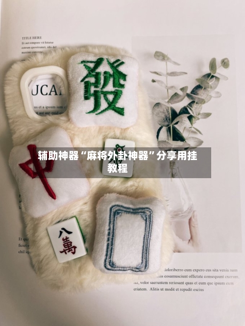 辅助神器“麻将外卦神器”分享用挂教程-第1张图片