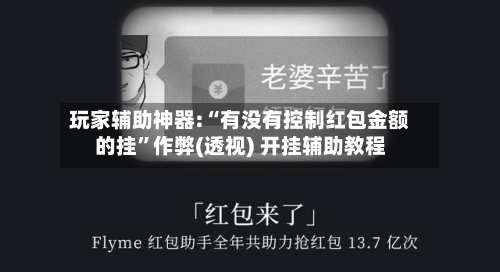 玩家辅助神器:“有没有控制红包金额的挂”作弊(透视) 开挂辅助教程-第3张图片