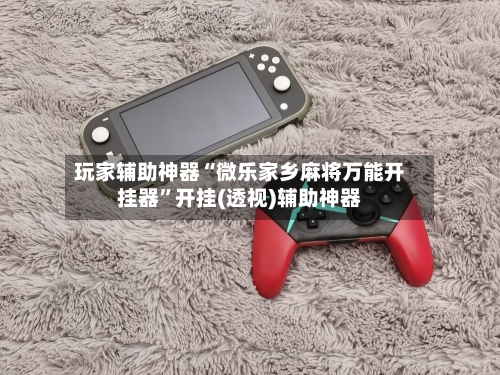 玩家辅助神器“微乐家乡麻将万能开挂器”开挂(透视)辅助神器-第2张图片