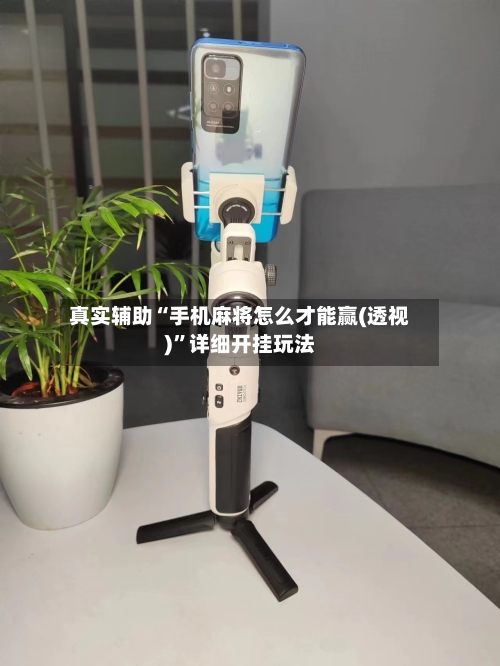 真实辅助“手机麻将怎么才能赢(透视)	”详细开挂玩法-第1张图片