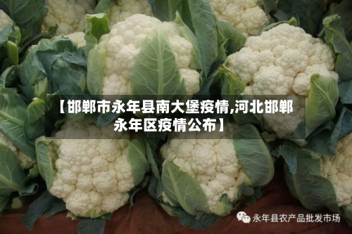 【邯郸市永年县南大堡疫情,河北邯郸永年区疫情公布】-第1张图片