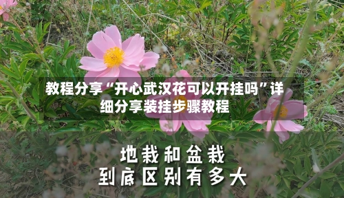 教程分享“开心武汉花可以开挂吗”详细分享装挂步骤教程-第2张图片