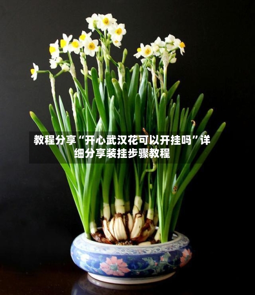 教程分享“开心武汉花可以开挂吗	”详细分享装挂步骤教程-第1张图片