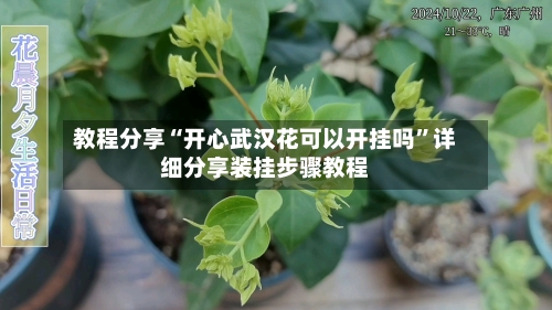 教程分享“开心武汉花可以开挂吗”详细分享装挂步骤教程-第3张图片