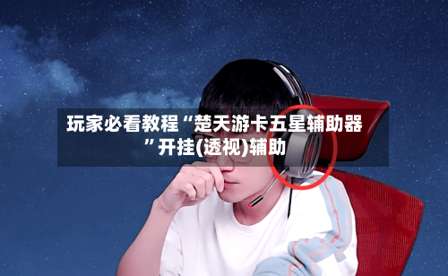 玩家必看教程“楚天游卡五星辅助器”开挂(透视)辅助-第2张图片