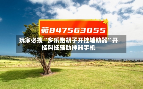 玩家必搜“多乐跑胡子开挂辅助器”开挂科技辅助神器手机-第2张图片