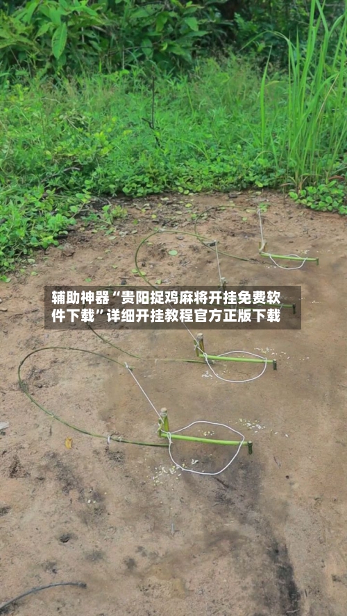 辅助神器“贵阳捉鸡麻将开挂免费软件下载	”详细开挂教程官方正版下载-第2张图片
