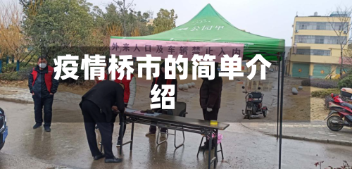 疫情桥市的简单介绍-第2张图片