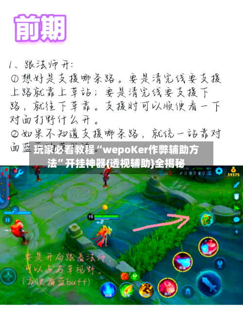 玩家必看教程“wepoKer作弊辅助方法”开挂神器{透视辅助}全揭秘-第2张图片