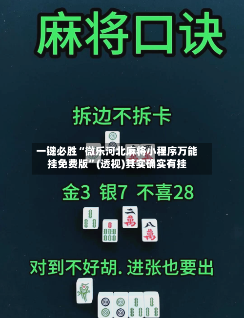 一键必胜“微乐河北麻将小程序万能挂免费版	”(透视)其实确实有挂-第2张图片