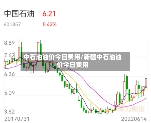 中石油油价今日费用/新疆中石油油价今日费用-第1张图片
