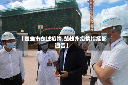 【楚雄市东城疫情,楚雄州疫情指挥部通告】-第2张图片