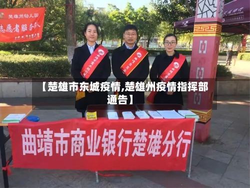 【楚雄市东城疫情,楚雄州疫情指挥部通告】-第3张图片