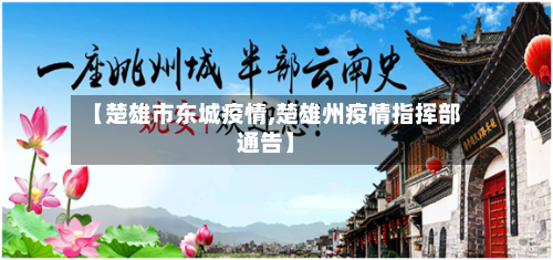 【楚雄市东城疫情,楚雄州疫情指挥部通告】-第1张图片
