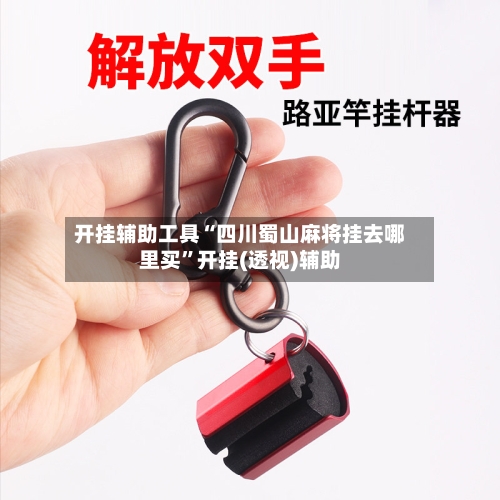 开挂辅助工具“四川蜀山麻将挂去哪里买”开挂(透视)辅助-第3张图片