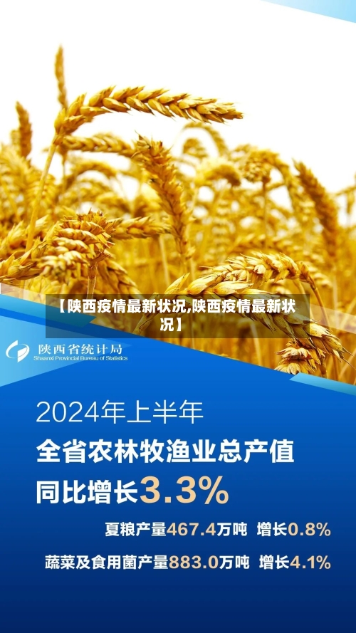 【陕西疫情最新状况,陕西疫情最新状况】-第1张图片